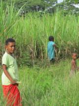 Fijian boys outside a village